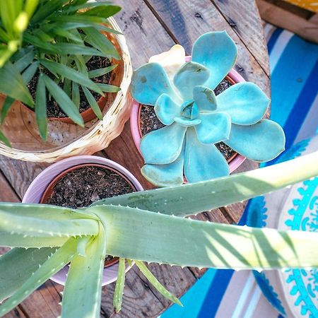 Apartament The Kalifornia I Stilvoll Mit Urlaubsfeeling I Dachterrasse I Klima Karlsruhe Zewnętrze zdjęcie