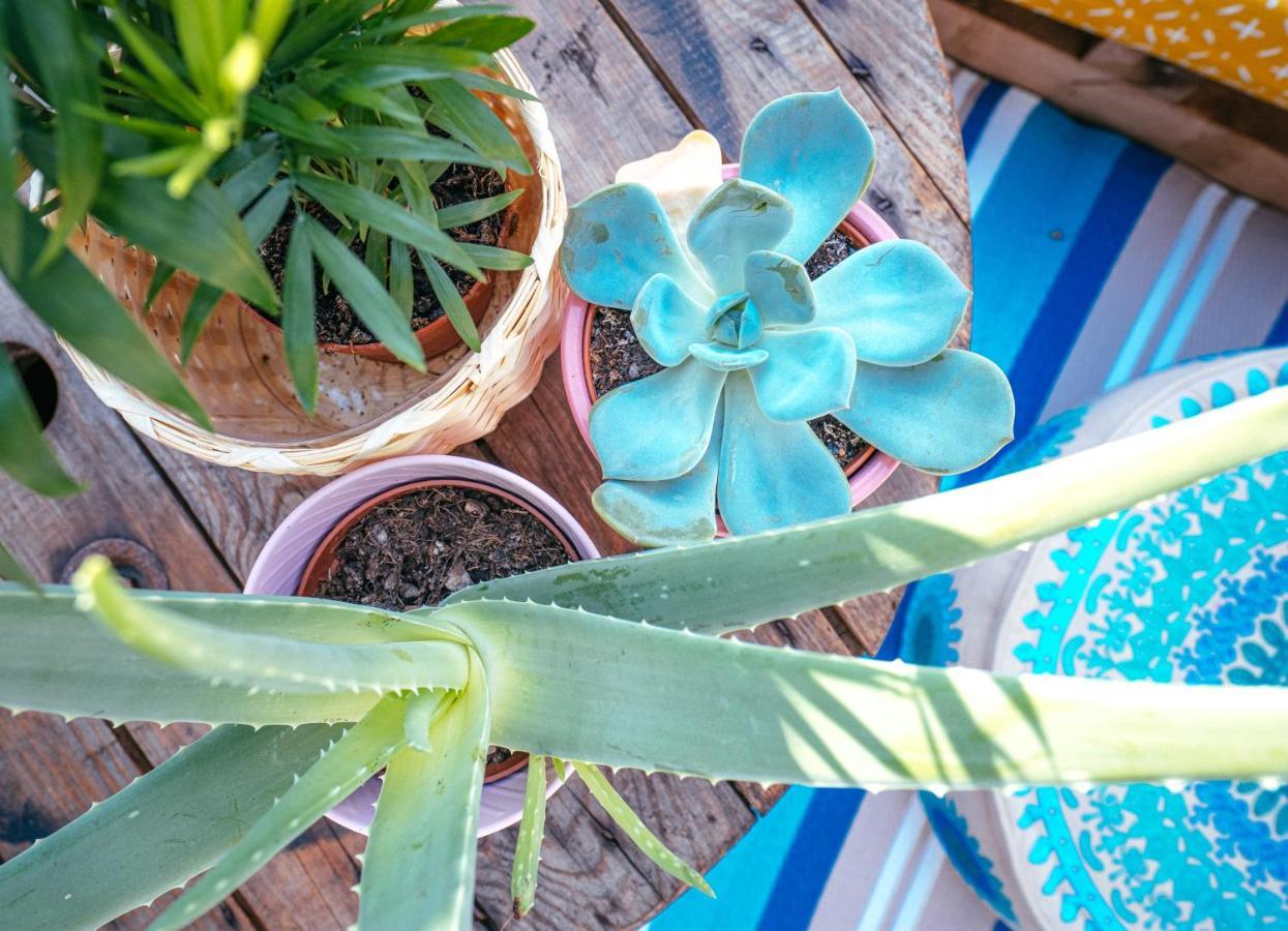 Apartament The Kalifornia I Stilvoll Mit Urlaubsfeeling I Dachterrasse I Klima Karlsruhe Zewnętrze zdjęcie